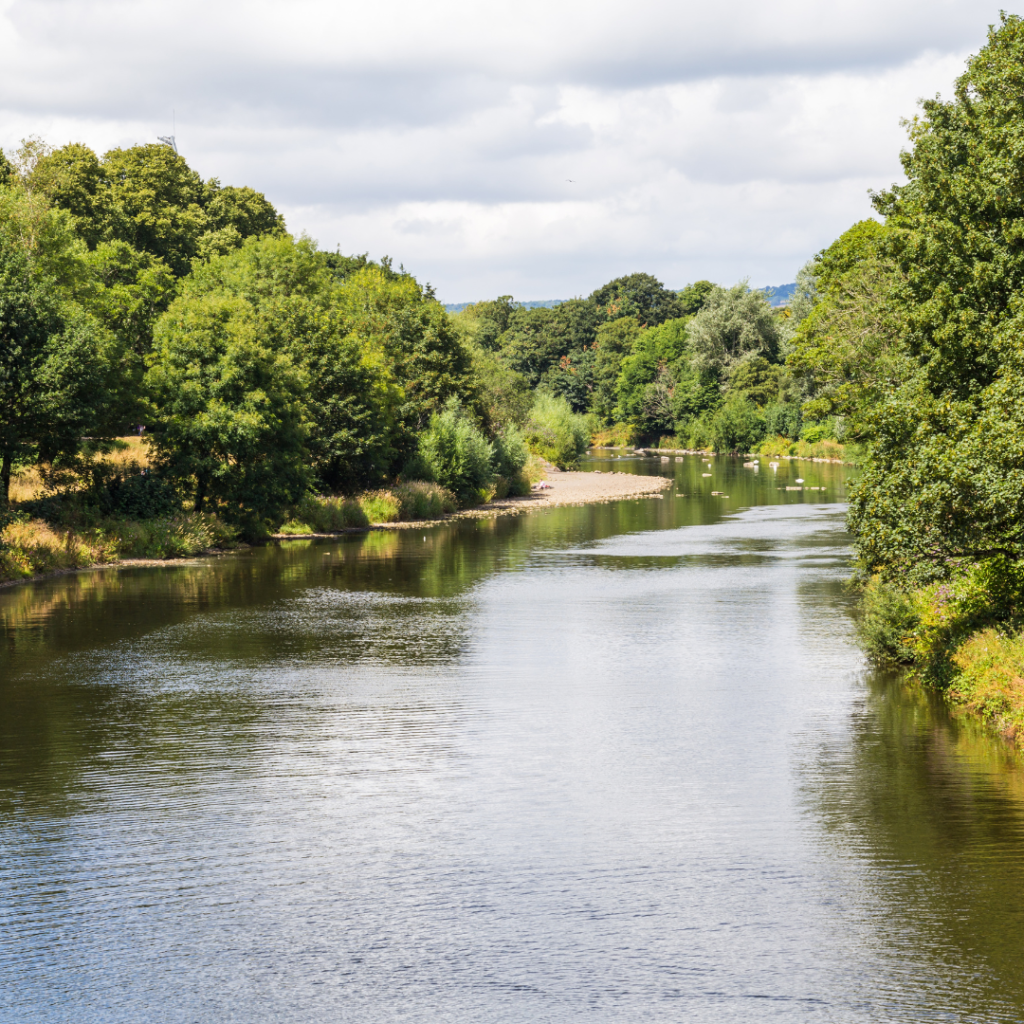 Picture of the river Taff banked by green trees in Rhondda Cynon Taff